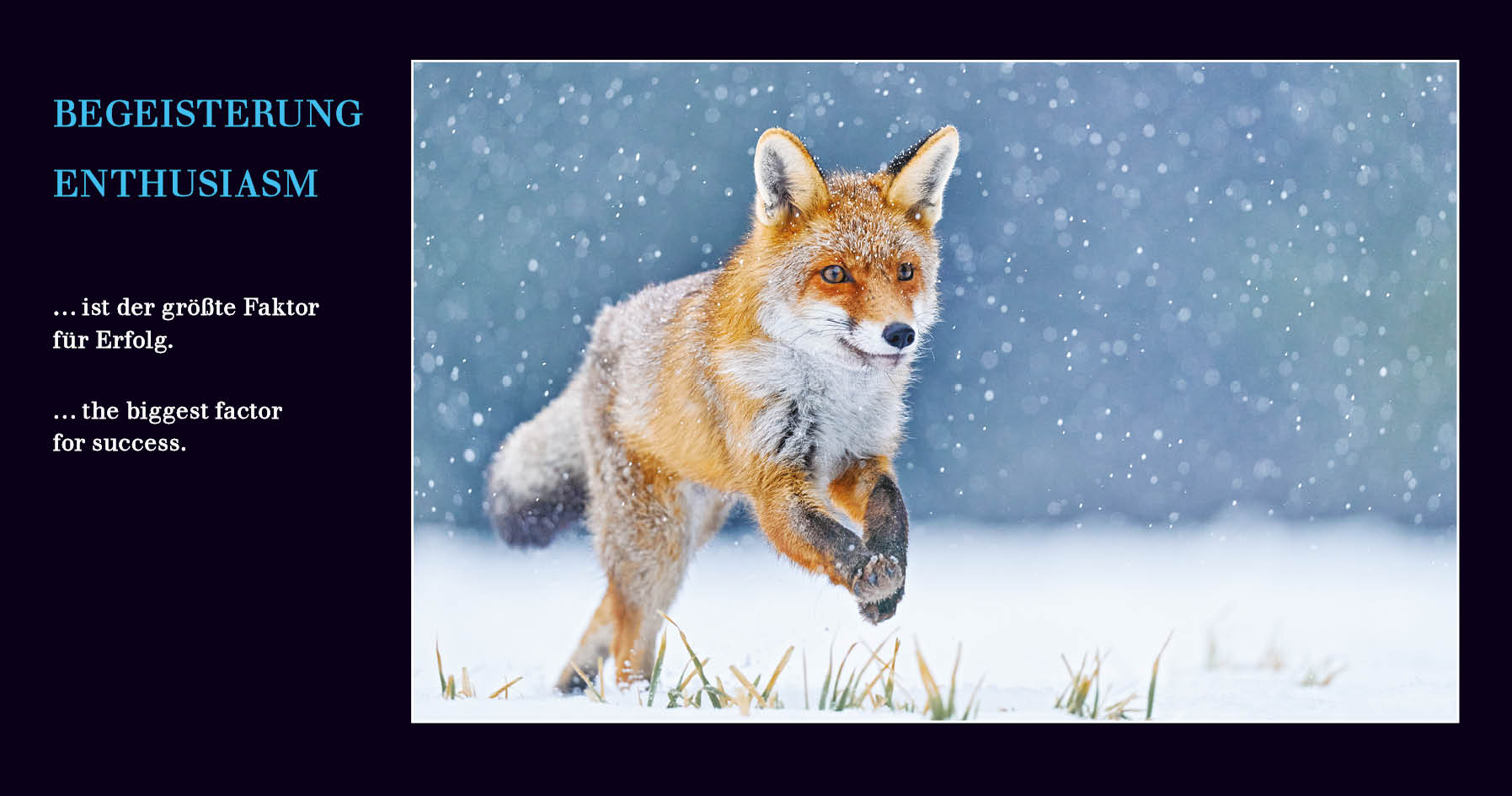 Grußkarten mit Emotionen