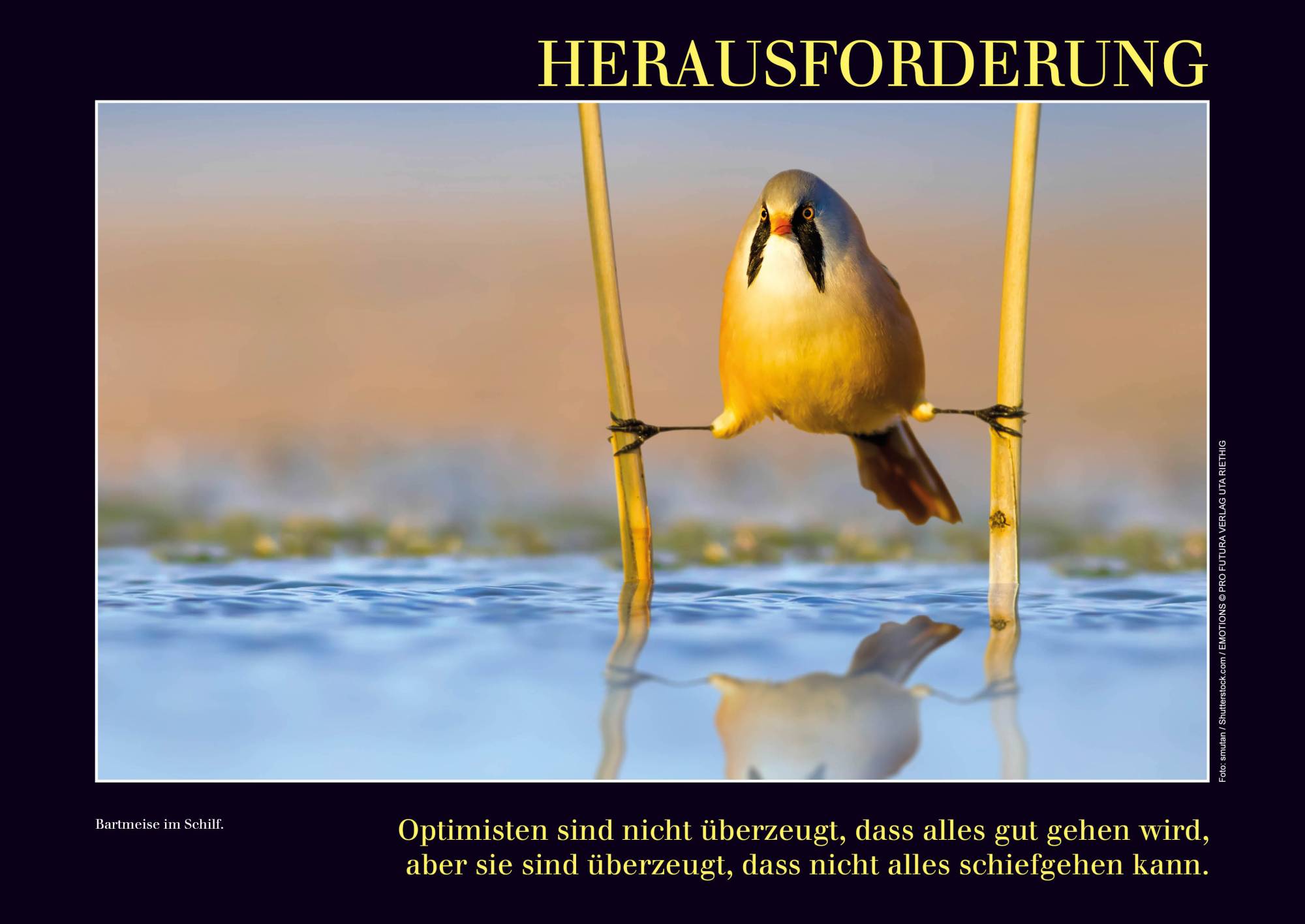 Kalender mit Emotionen