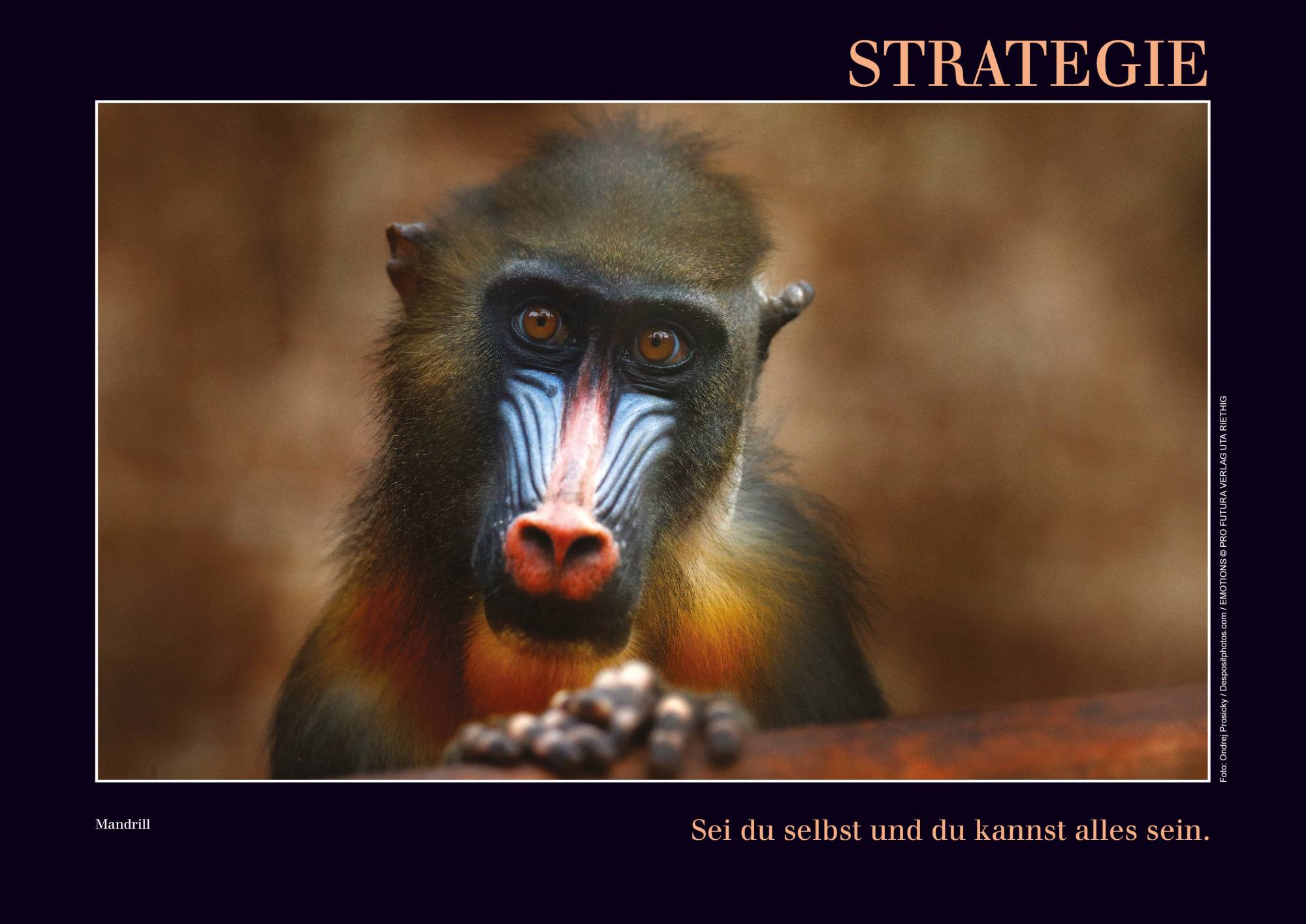 Kalender mit Emotionen