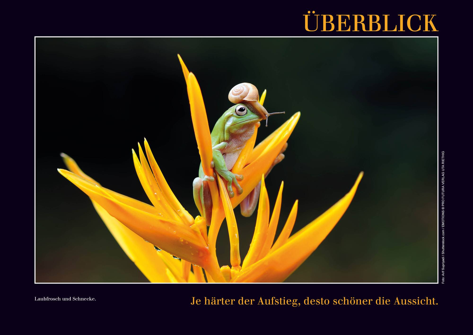 Kalender mit Emotionen