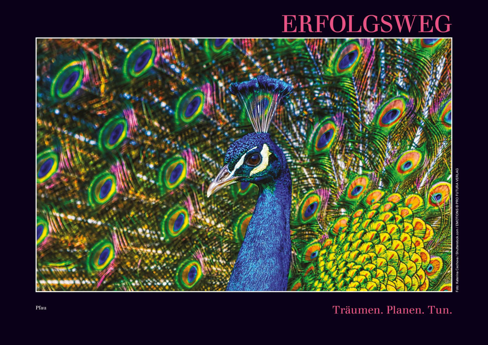 Kalender mit Emotionen