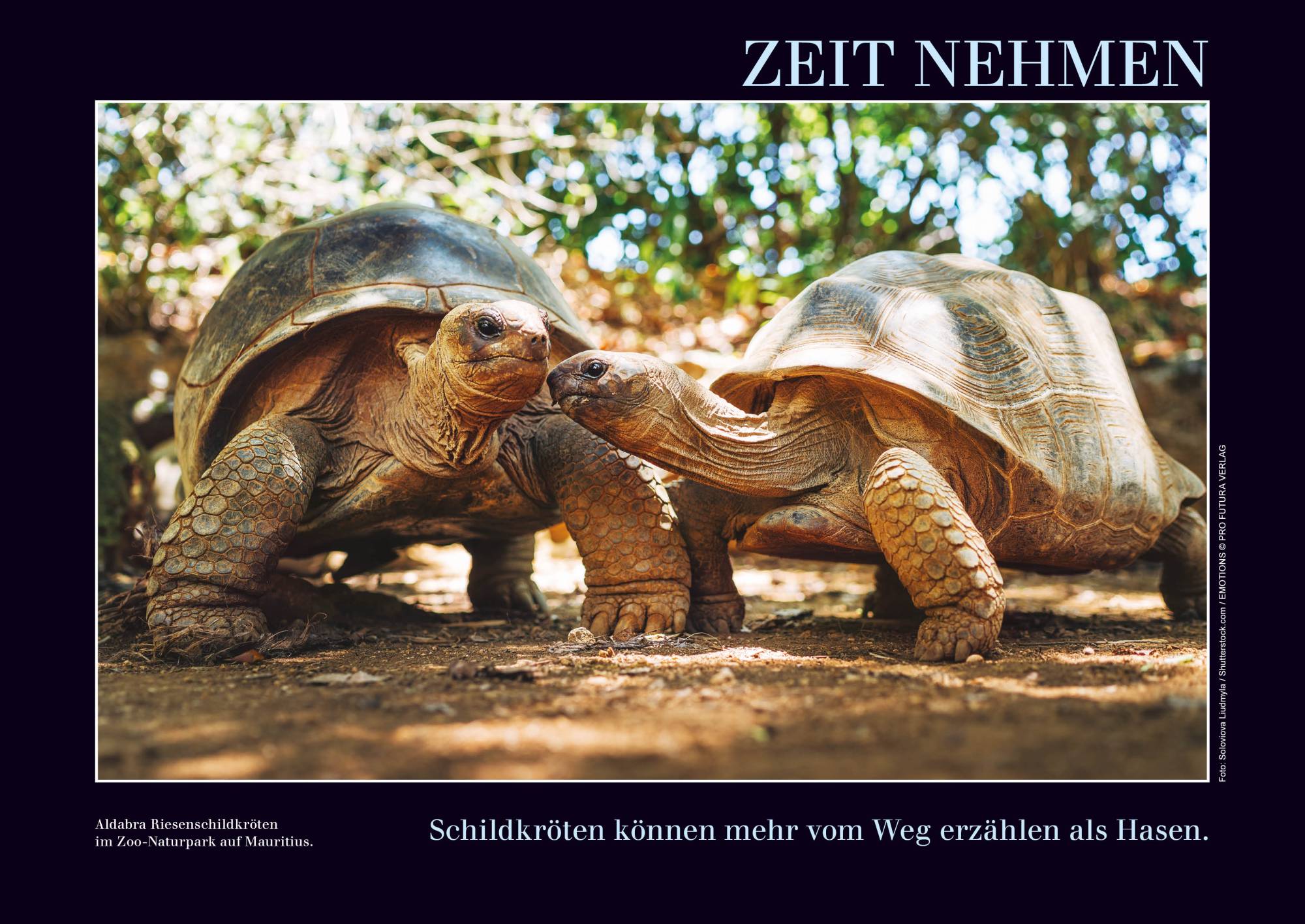 Kalender mit Emotionen