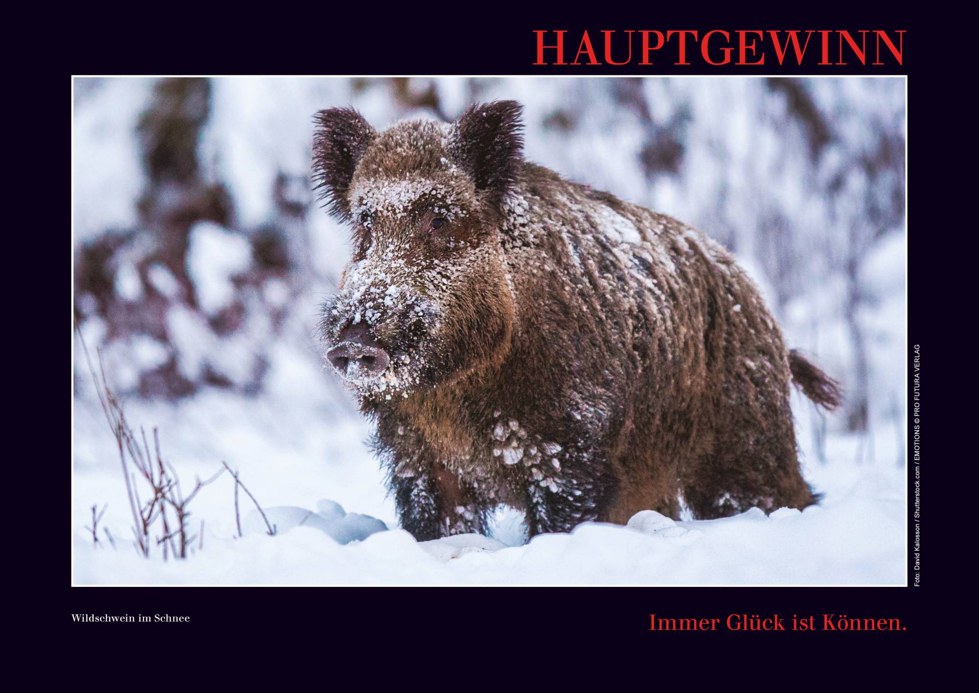 Kalender mit Emotionen