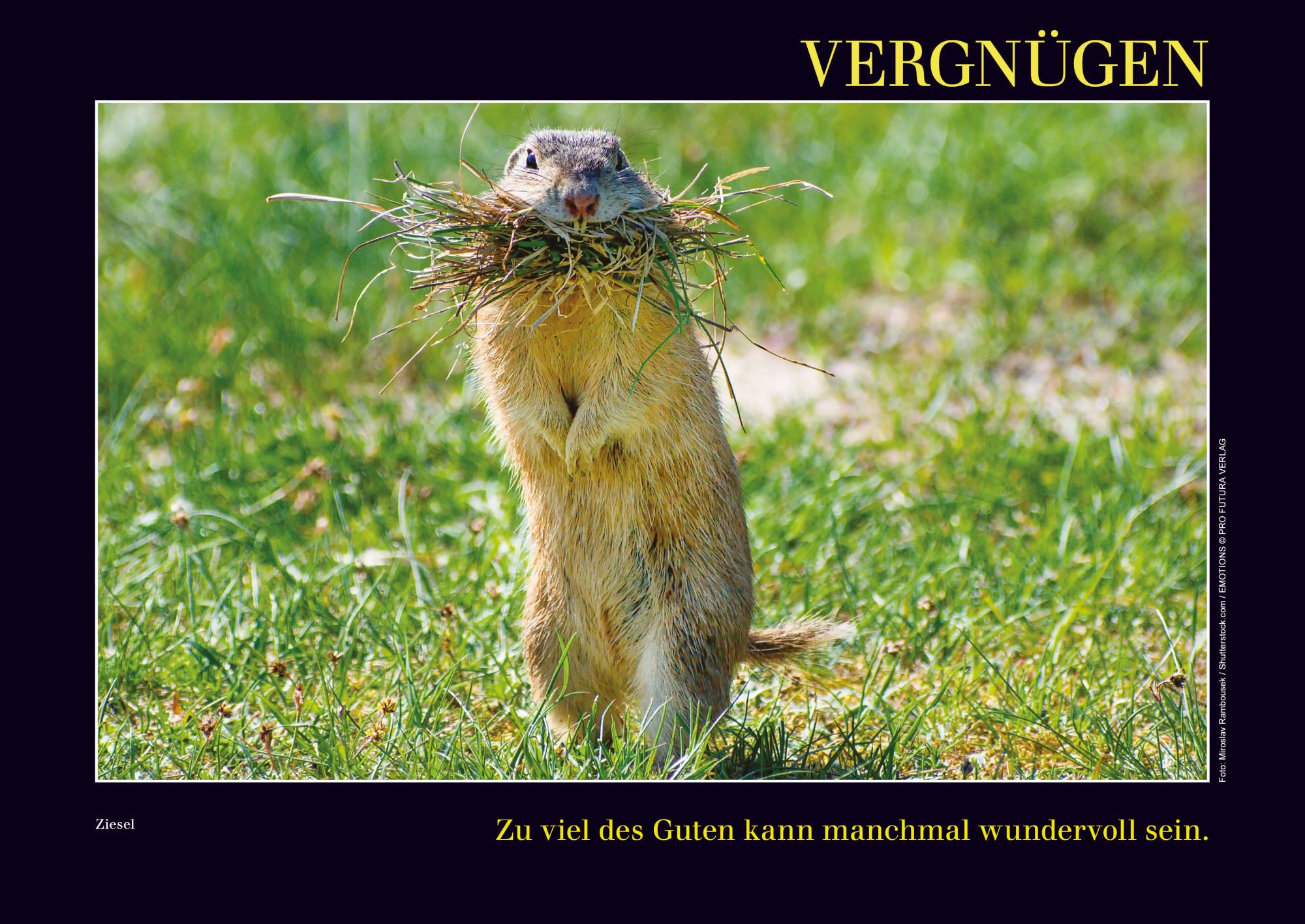 Kalender mit Emotionen