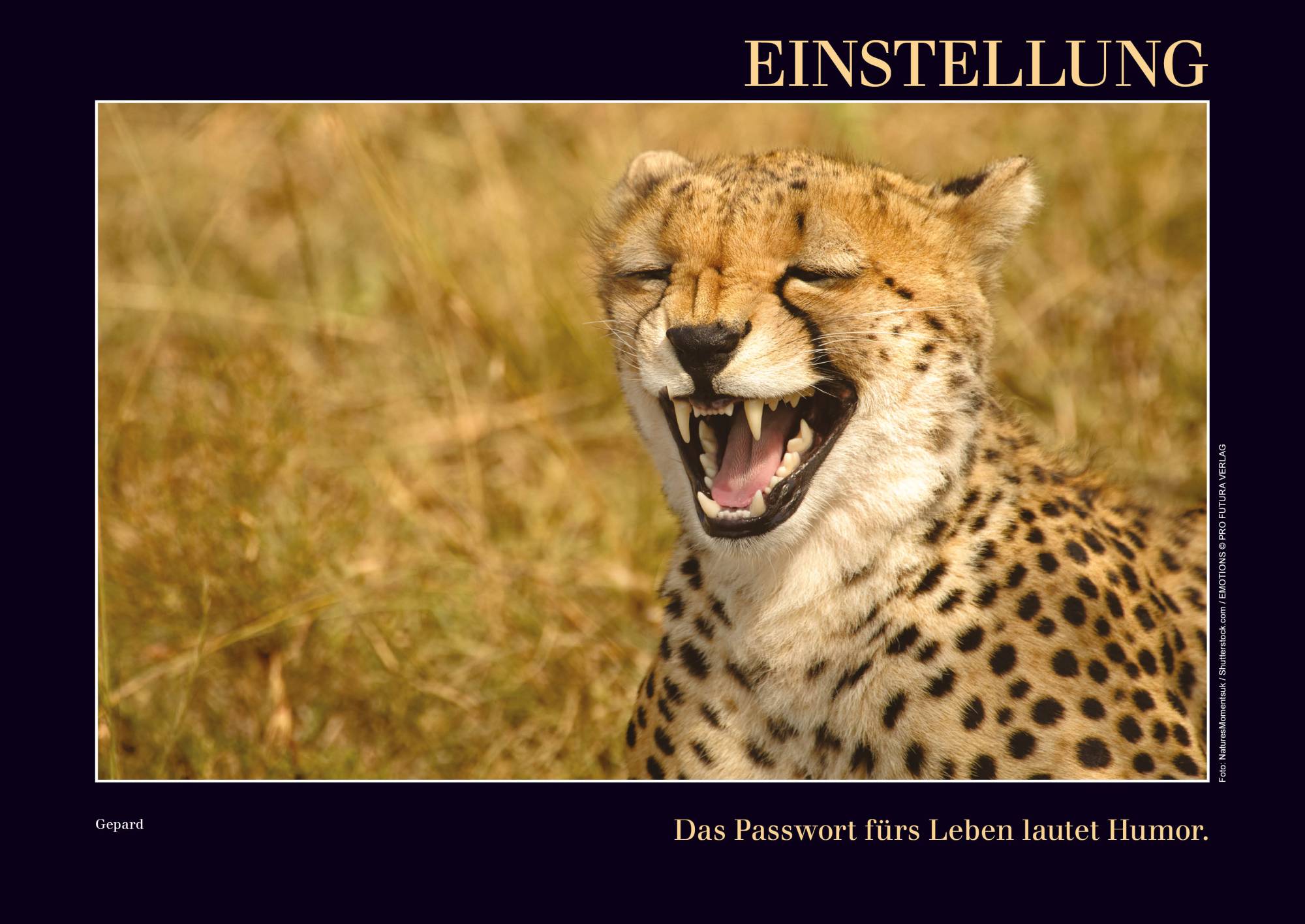 Kalender mit Emotionen