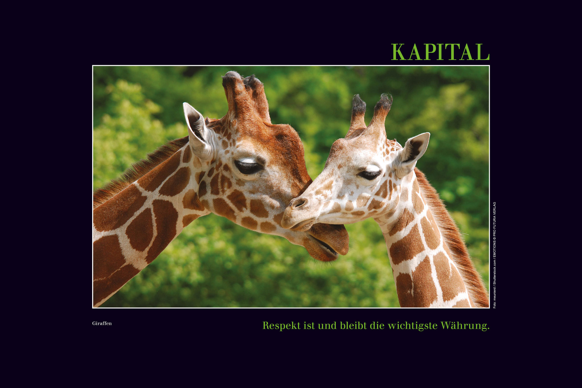 Pro Futura Verlag - Emotions Kalender 