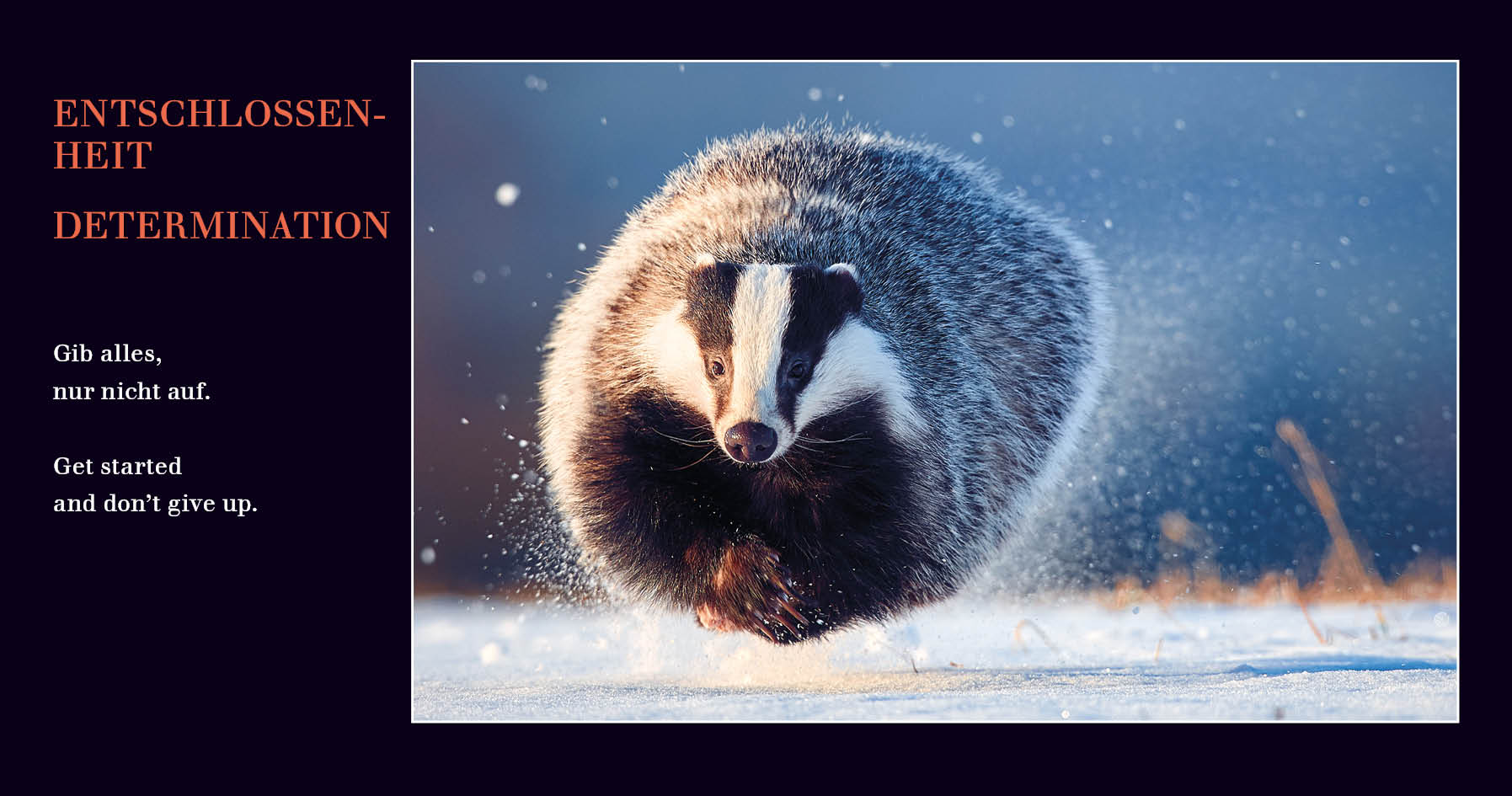 Grußkarten mit Emotionen