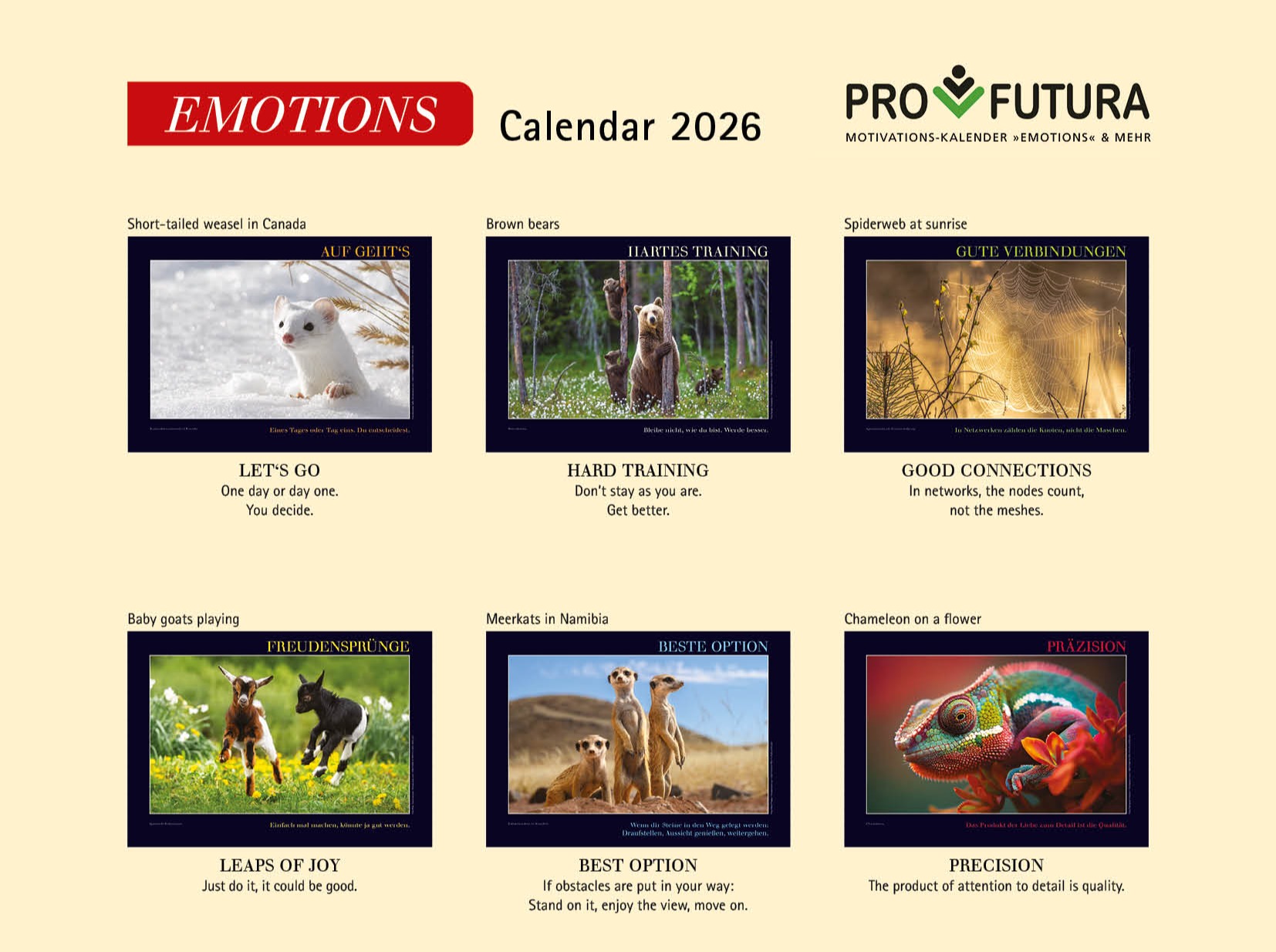 Pro-Furuta - Motivationskalender, Kunstdrucke, Lithografien