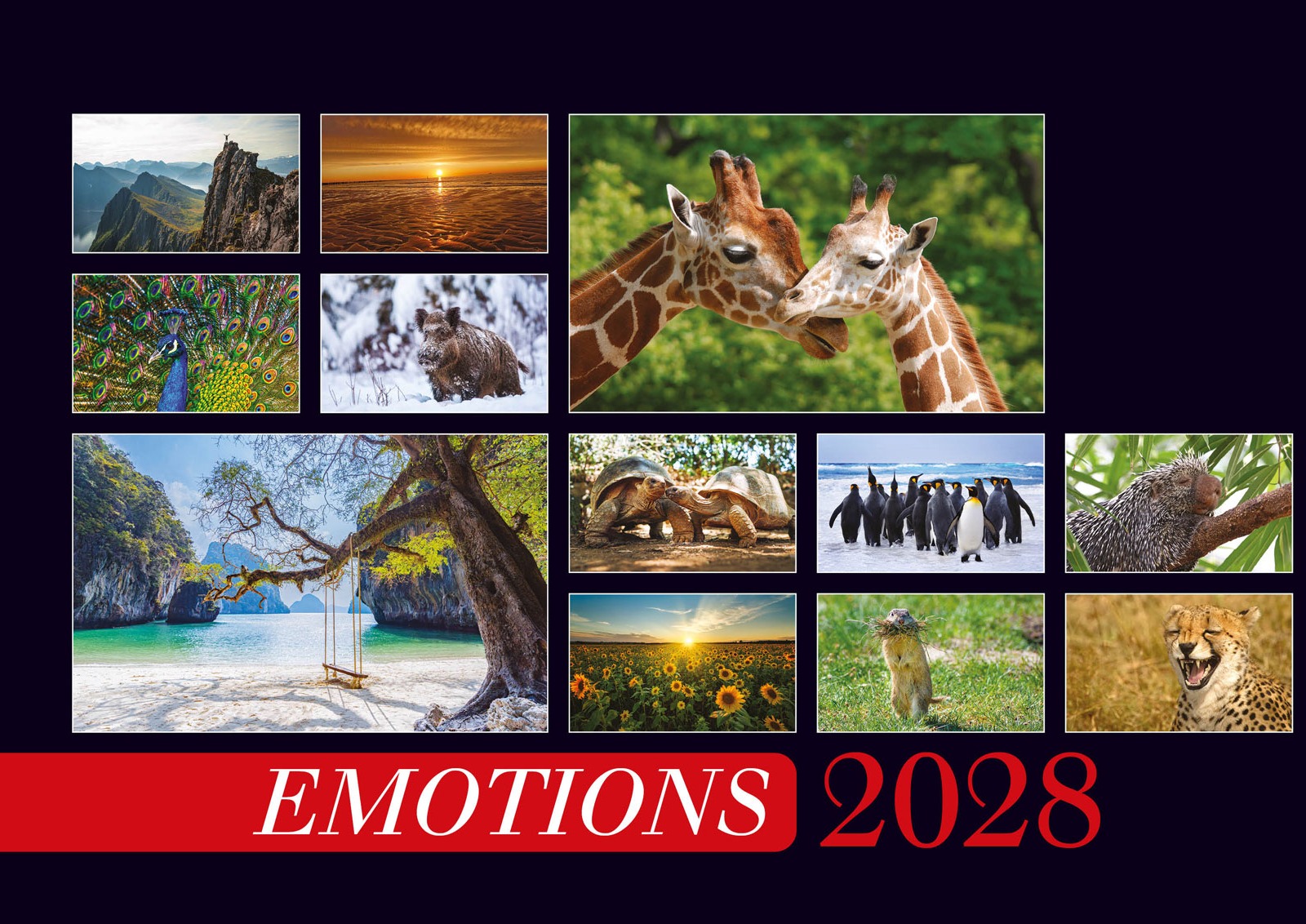 Pro Futura Verlag - Kalender bestellen