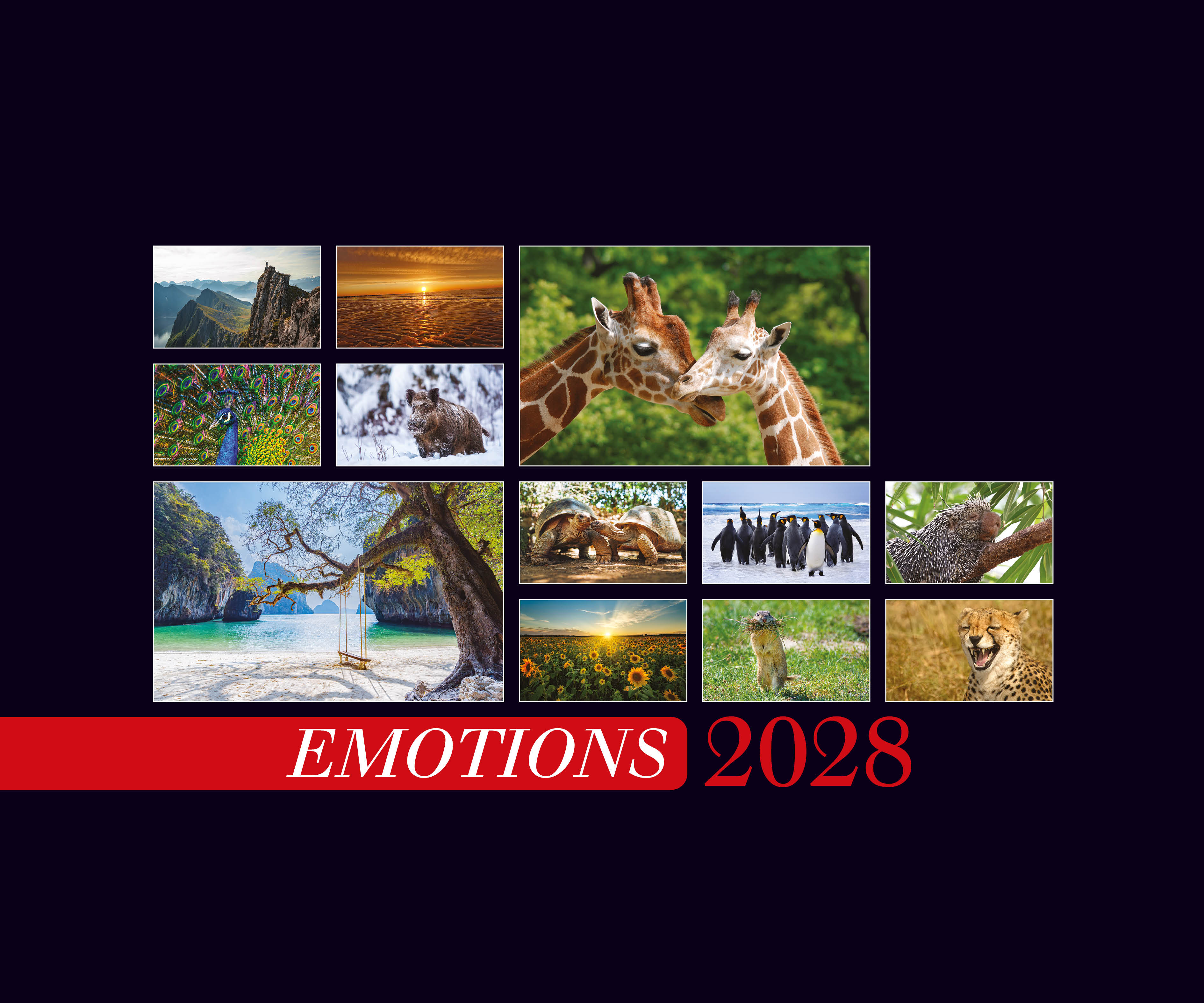 Pro Futura Verlag - Emotions Kalender 2028