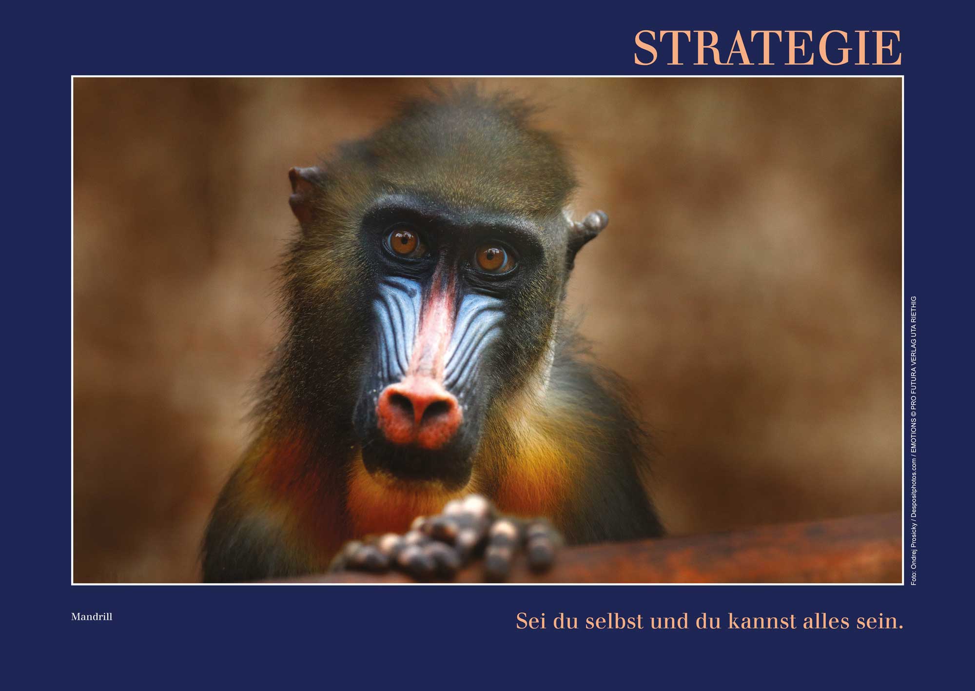 Kalender mit Emotionen