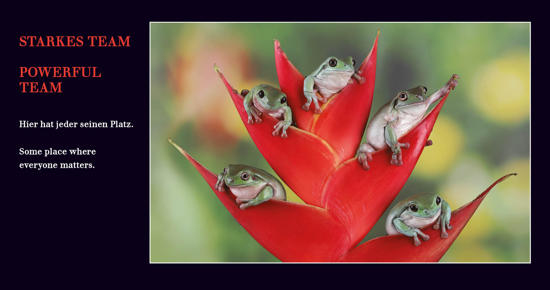 Grußkarten mit Emotionen