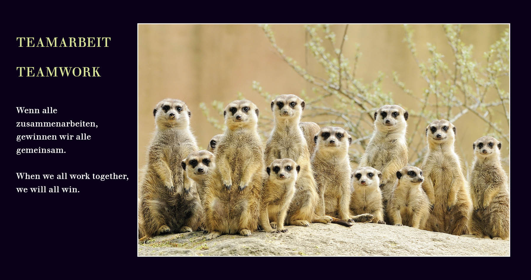 Grußkarten mit Emotionen