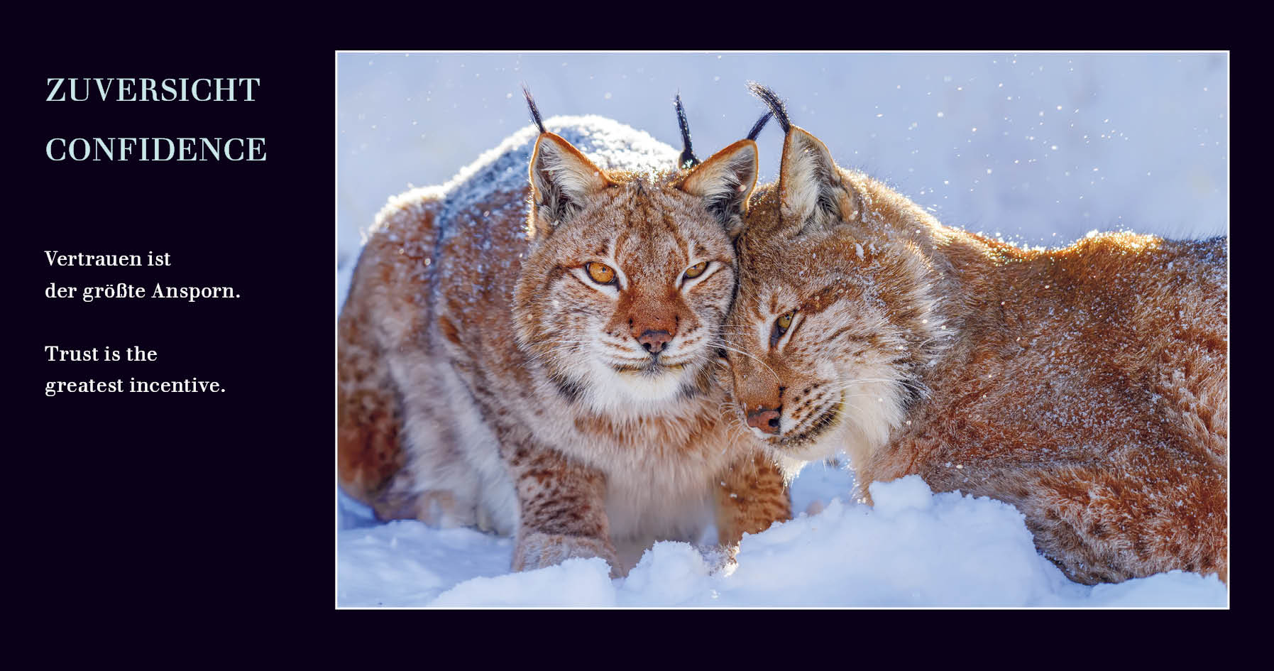 Grußkarten mit Emotionen